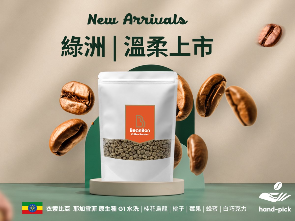 【綠洲】新豆上市