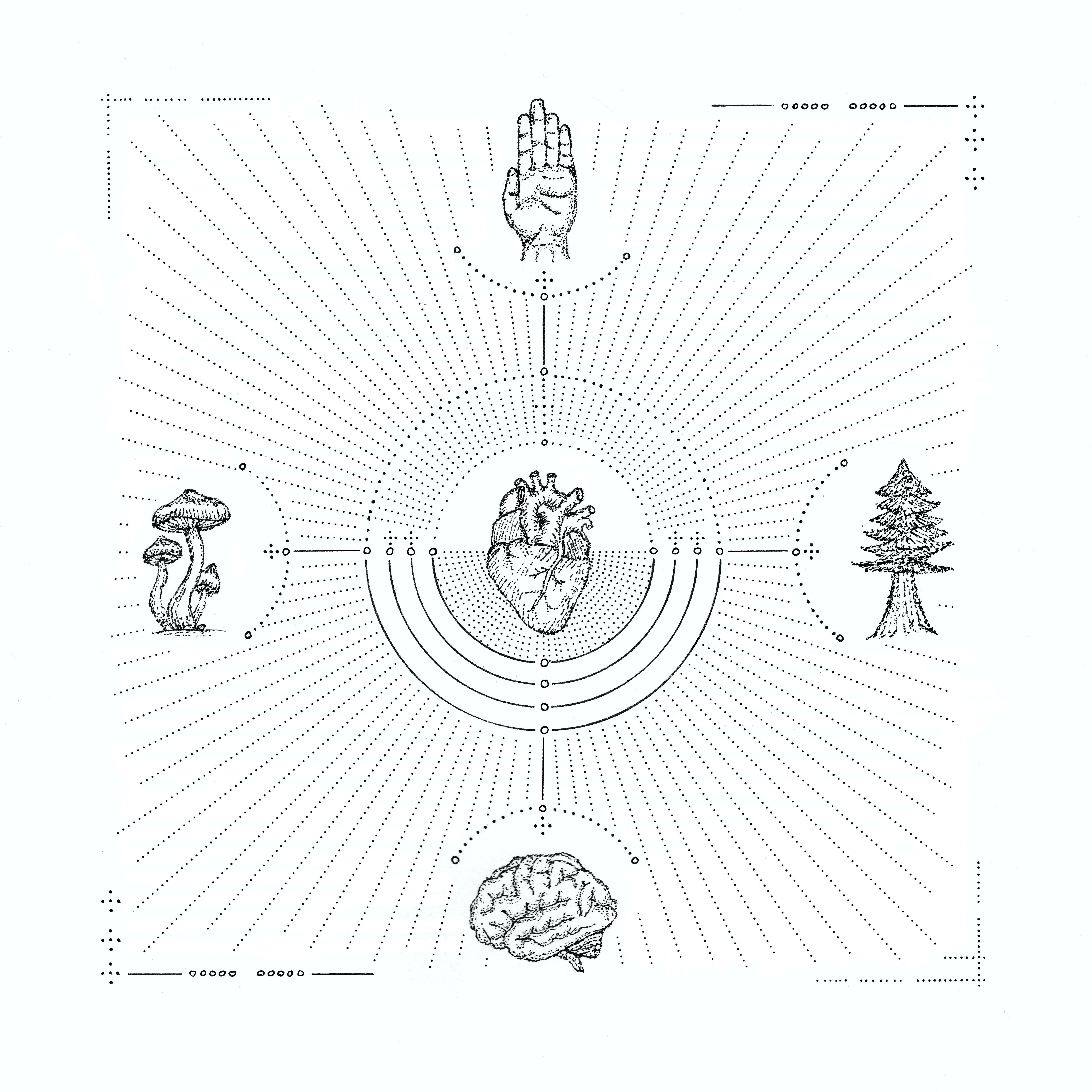 Compass | the.east.gate - abstract, nature, inspirational | Beautify