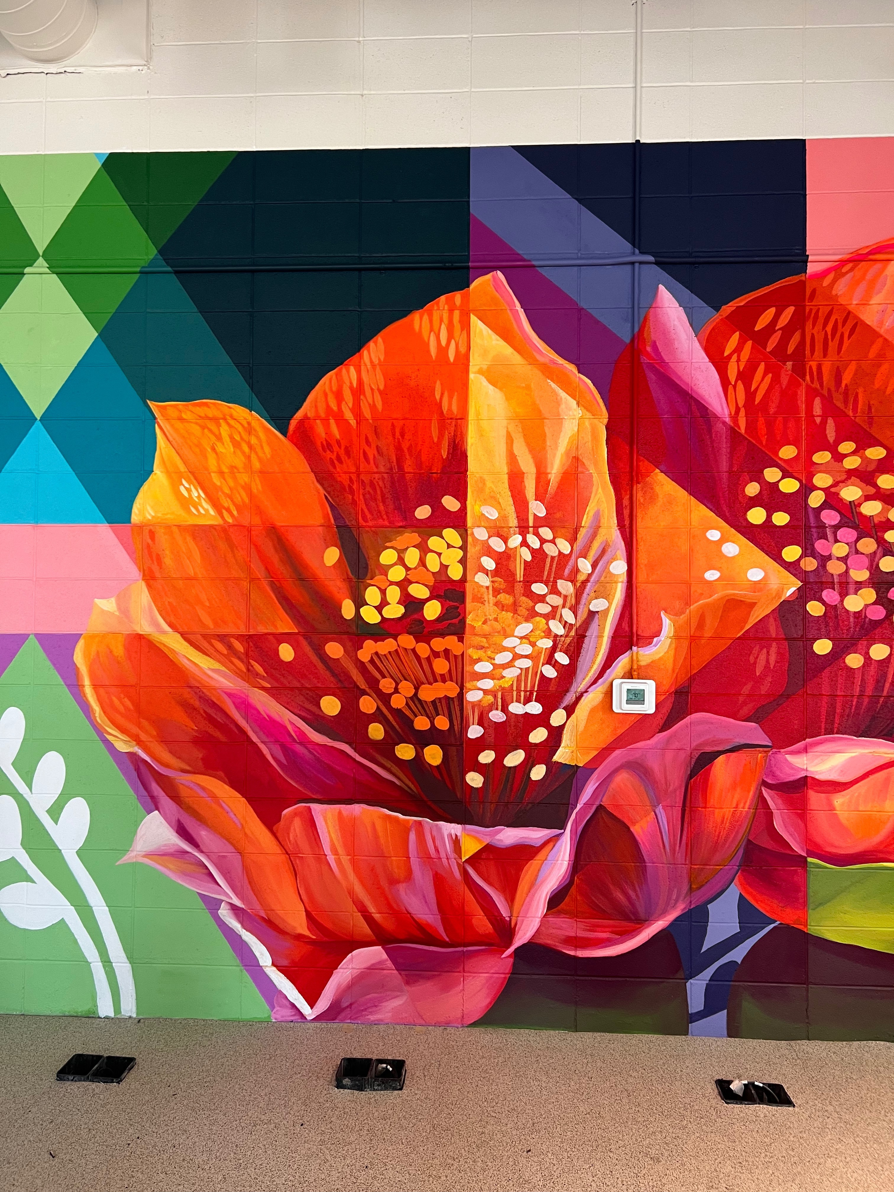 A Frames | mslaurenlee | Lauren Lee - abstract, realism, nature, geometric, culdesac | Beautify