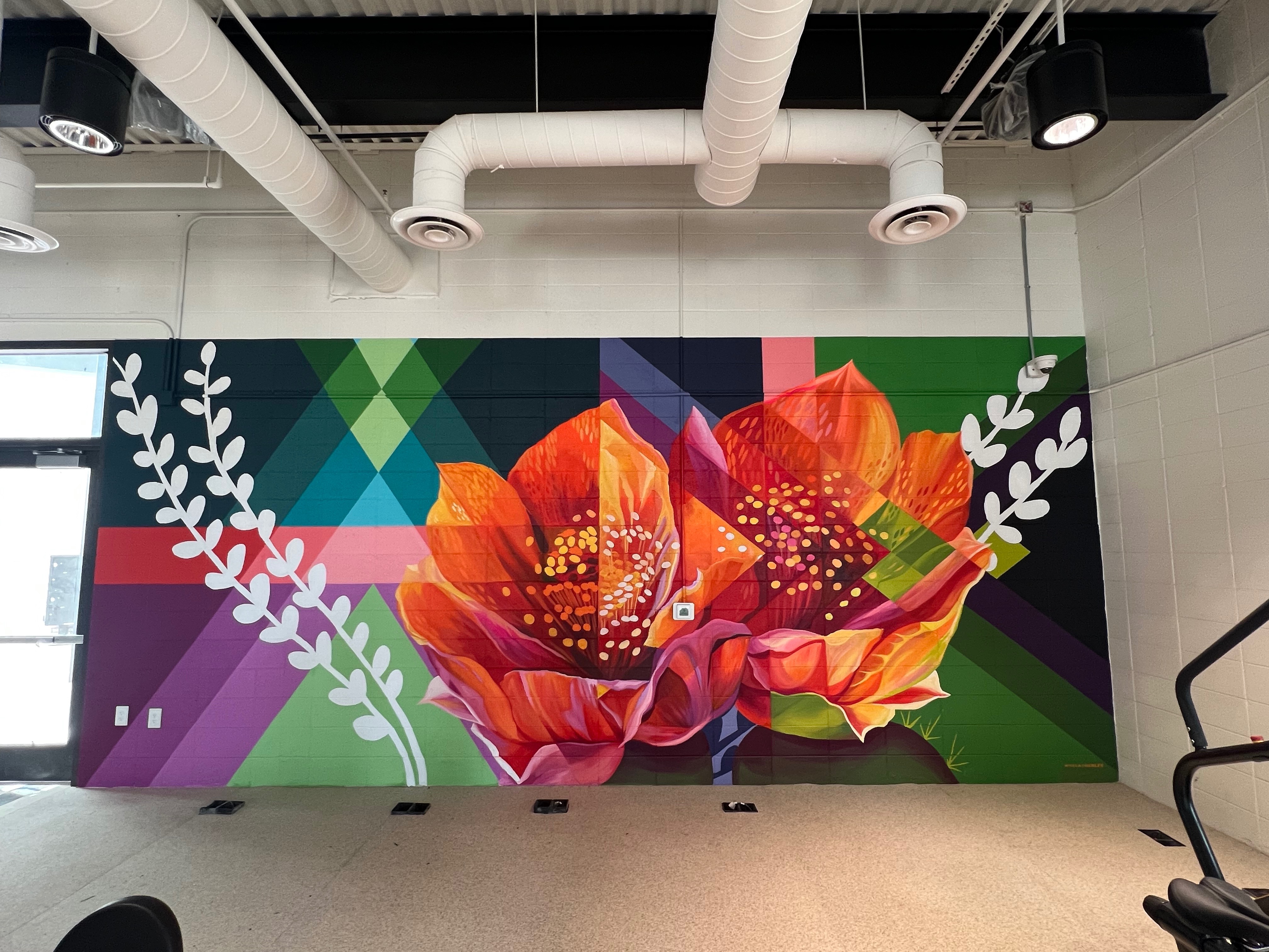 A Frames | mslaurenlee | Lauren Lee - abstract, realism, nature, geometric, culdesac | Beautify