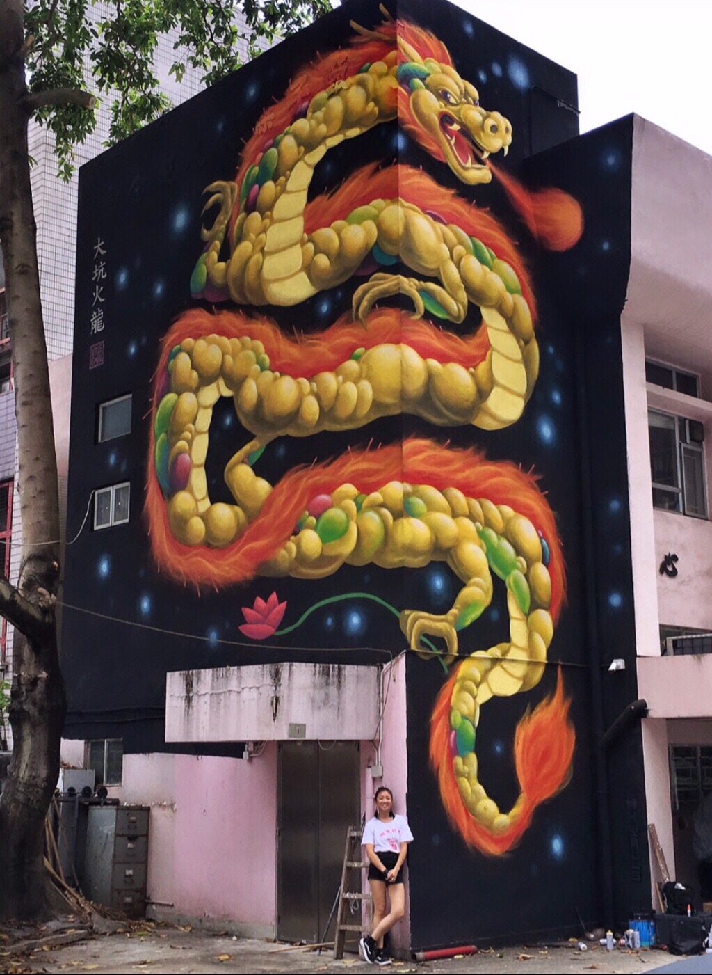 Fire Dragon | wingchow | Christina Chow - fantasy, vibrant, animal | Beautify