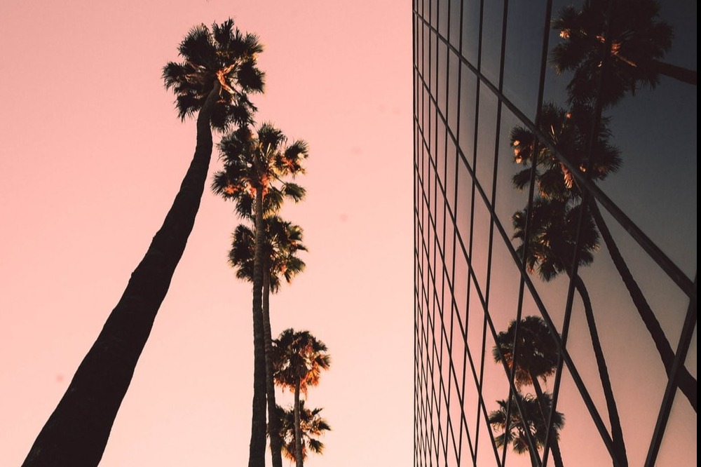 profile background | Michael Terry | Beautify header