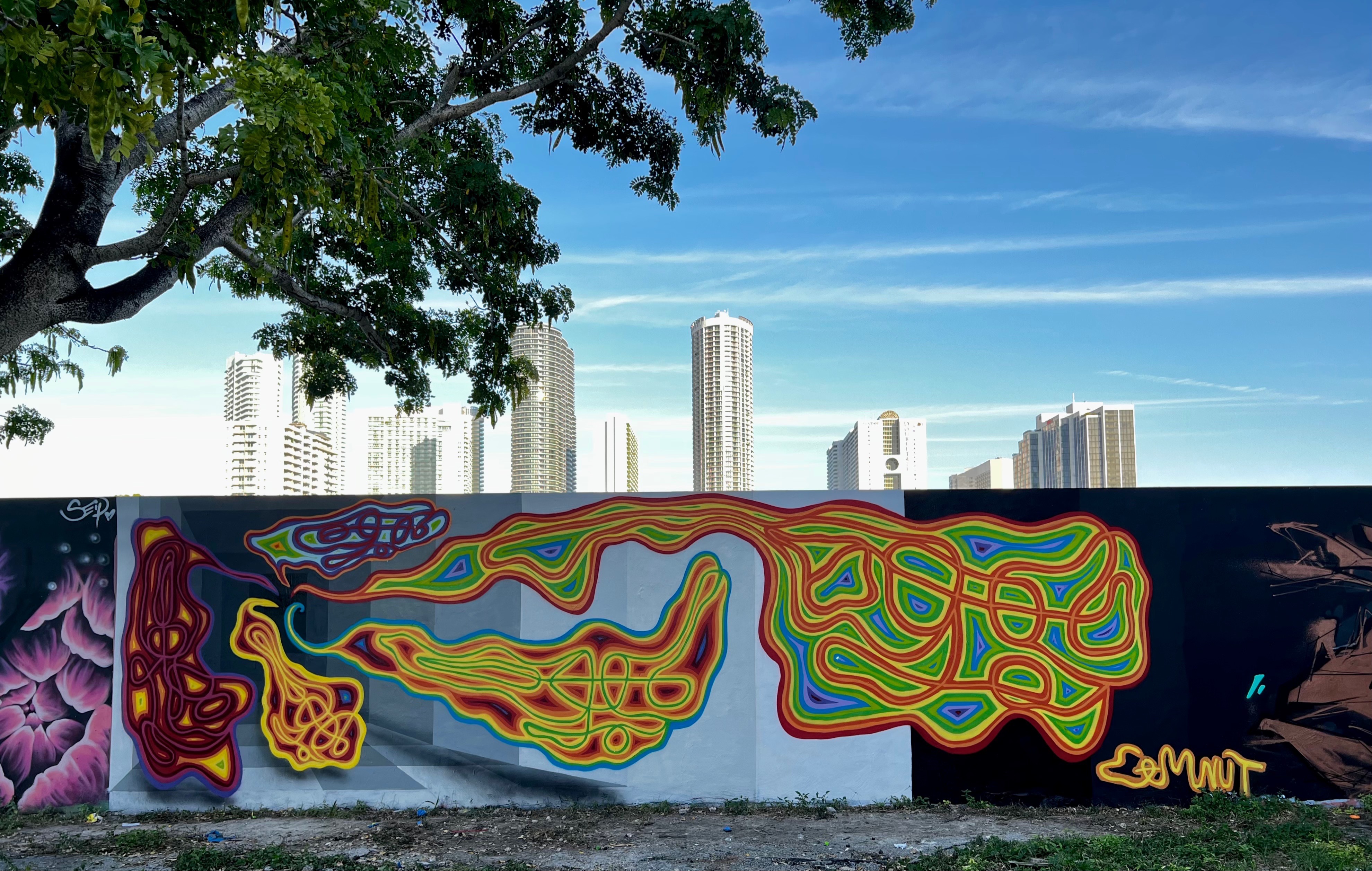 Moving Nut | camnut | Cam Nut - abstract, graffiti, geometric, private | Beautify