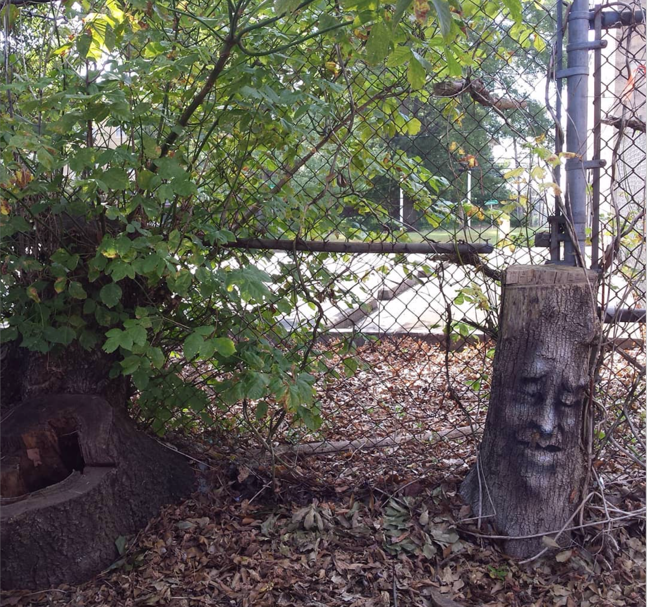 Atlanta, 30334 - South Downtown - Potential Art / Mural Site | Beautify