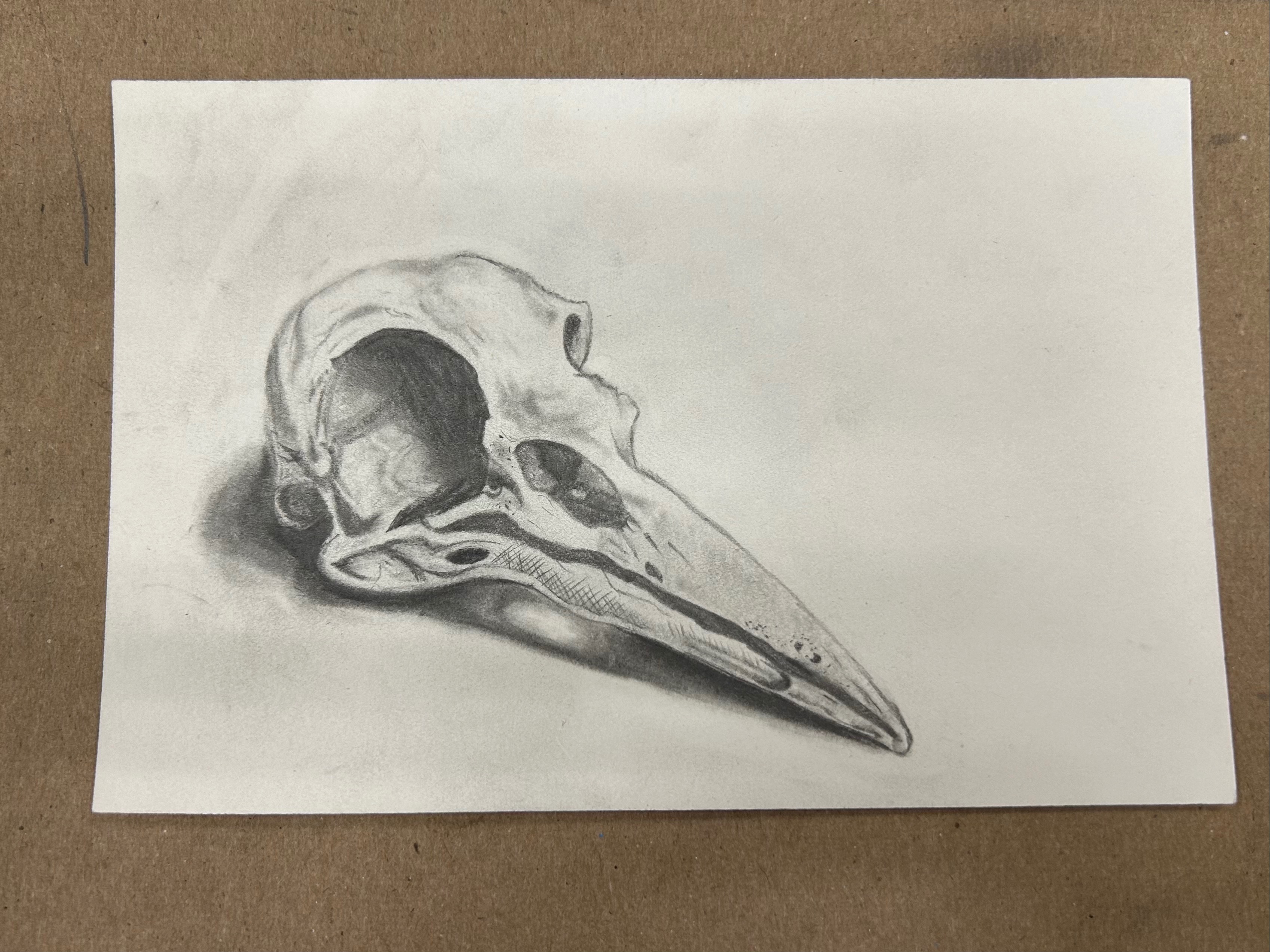 none | Sam Hasty - abstract, realism | Beautify