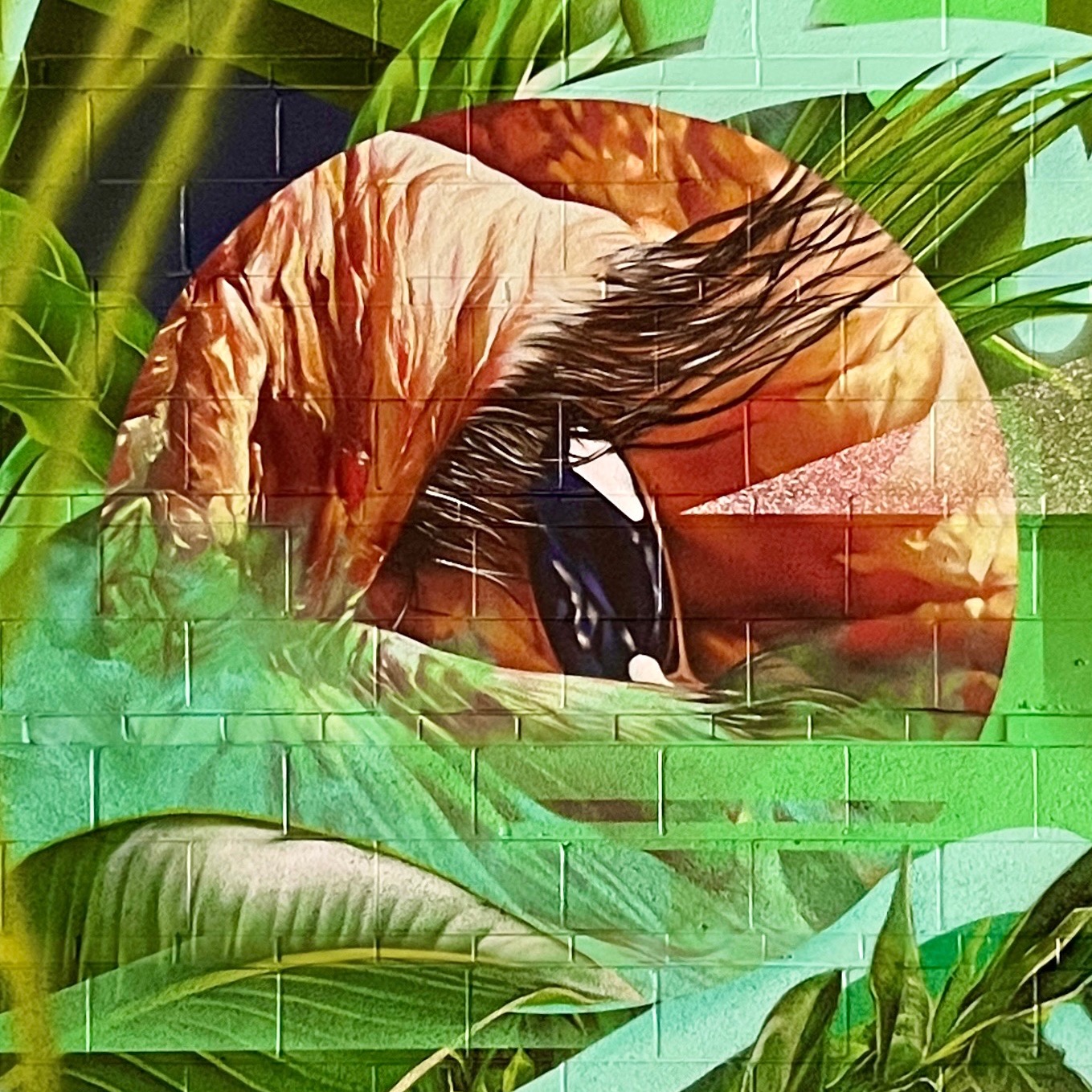 Gus Cutty | Beautify