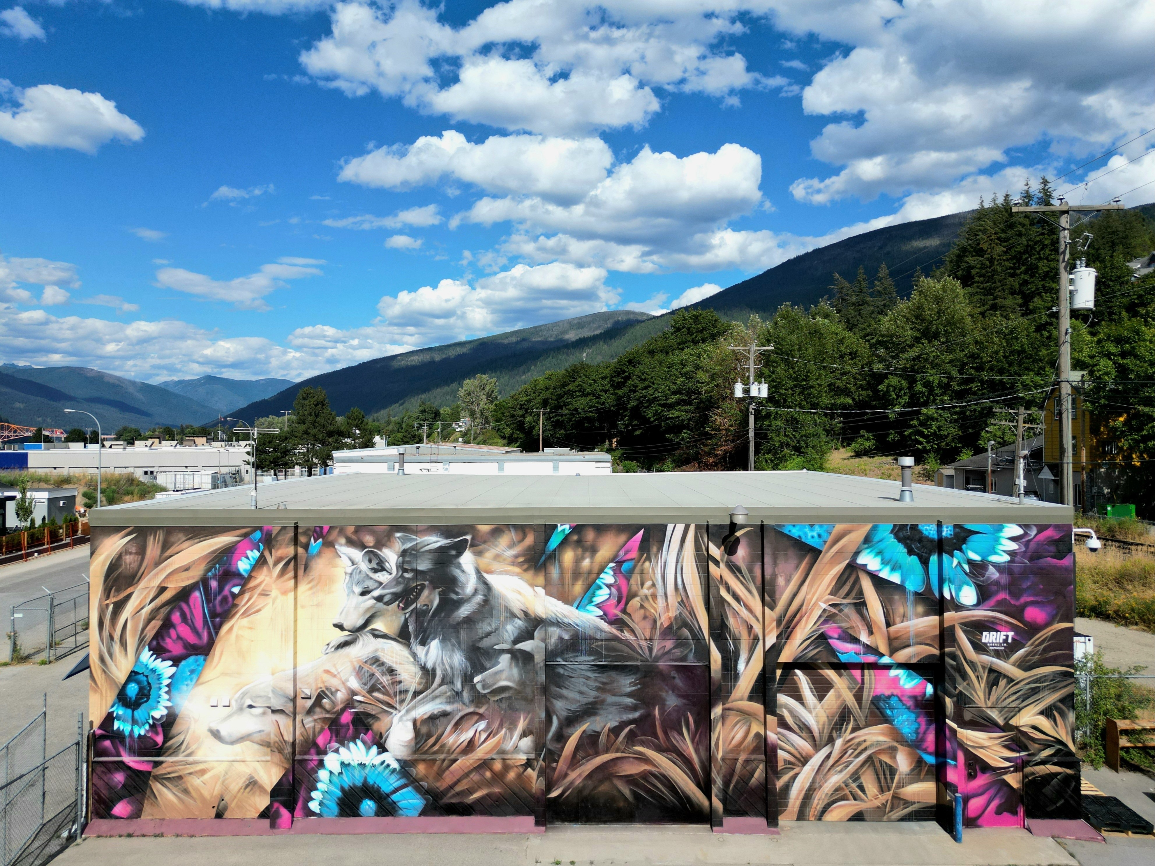 Free Run | www.driftmurals.com | Dominic Laporte - nature | Beautify