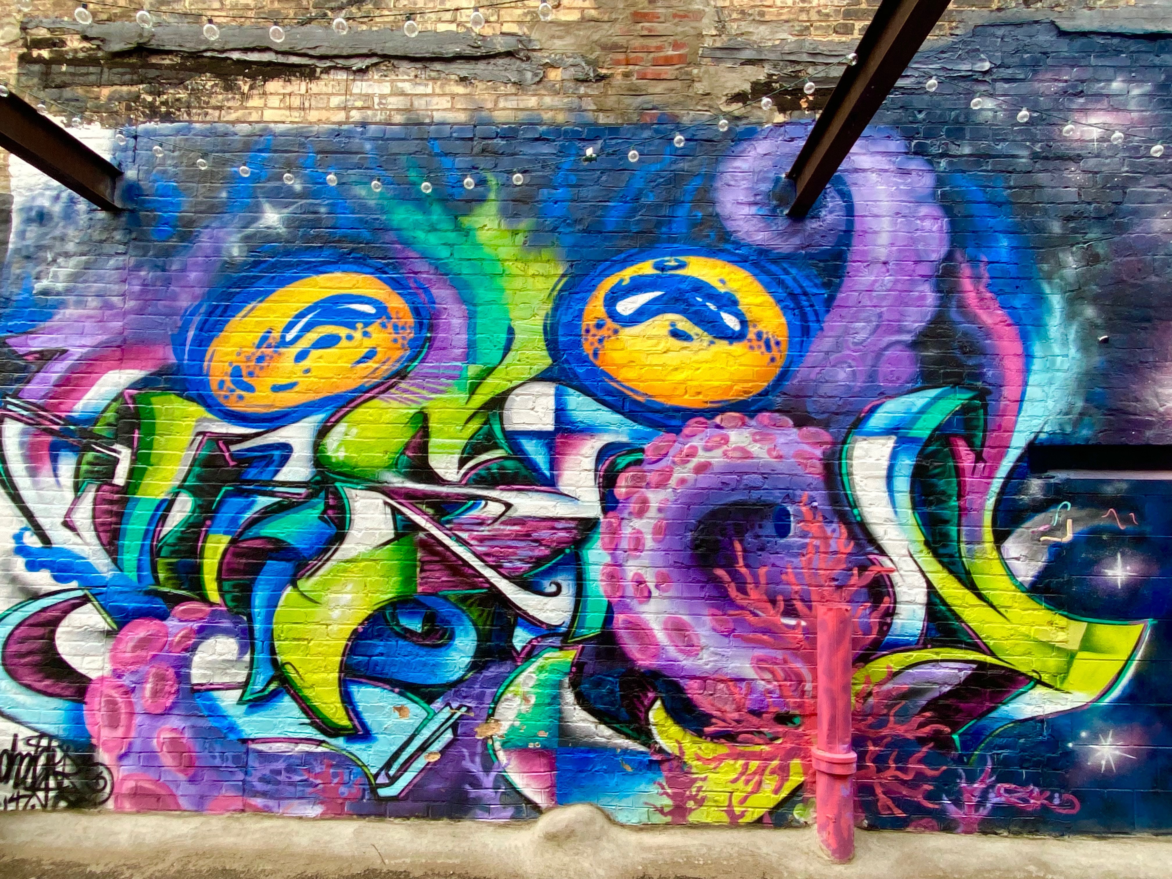 Vision | Cheddar Chedz - graffiti | Beautify