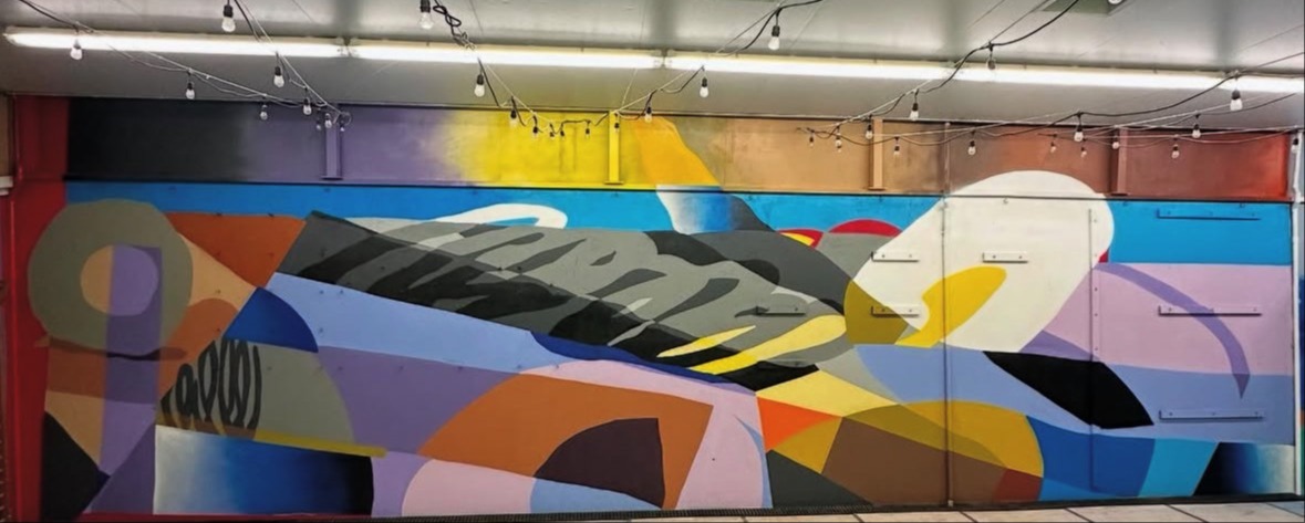 profile background | darin | Darin Balaban | Beautify header