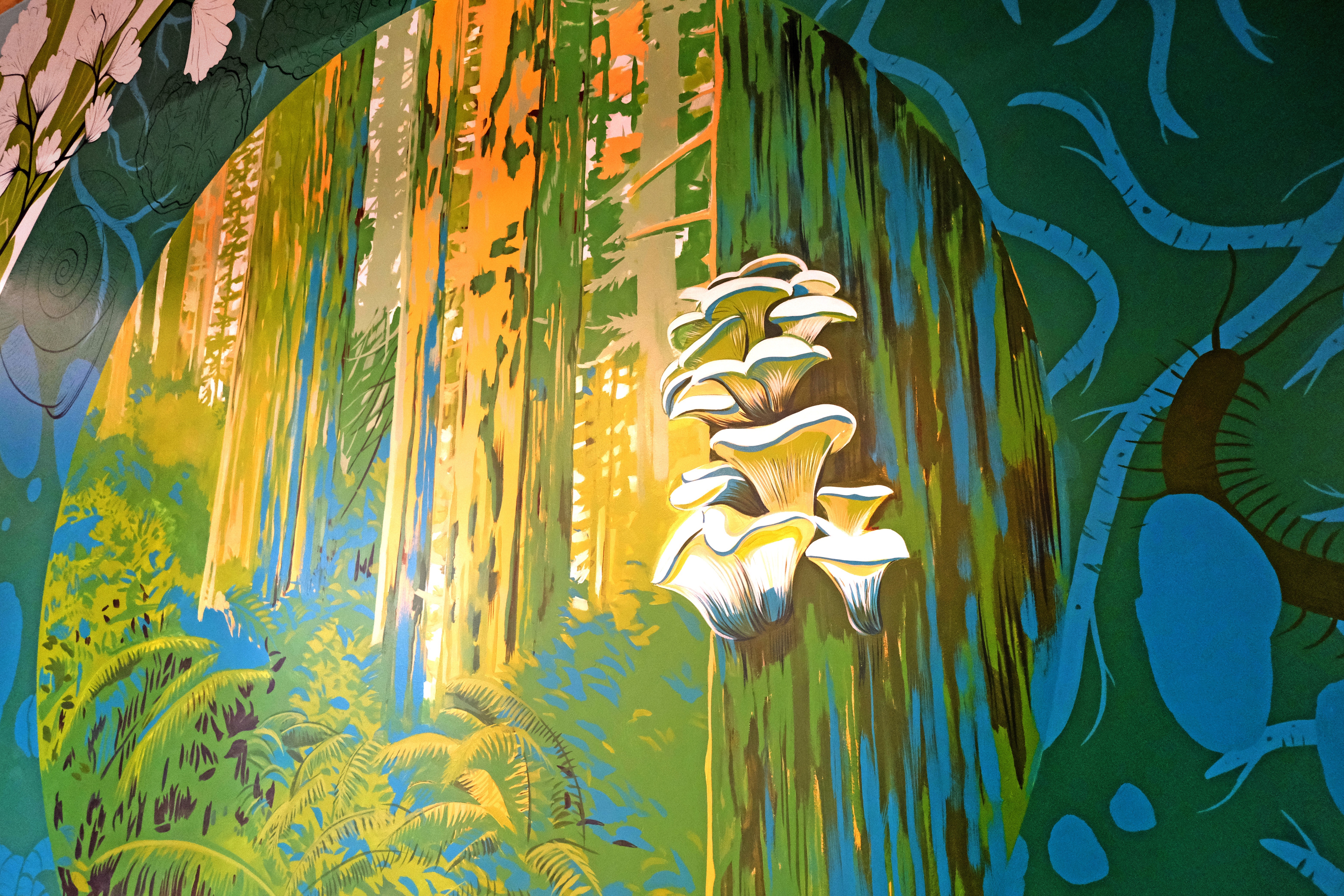 Eugene, 160 East Broadway, 97401 - Downtown - Potential Art / Mural Site | Beautify