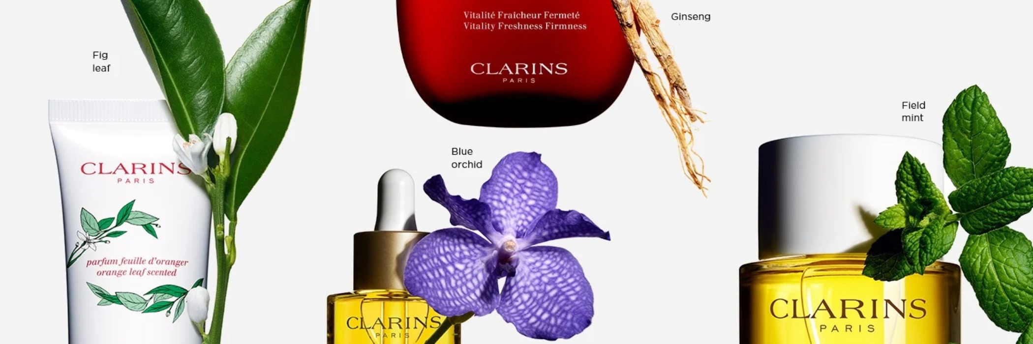 CLARINSの背景画像
