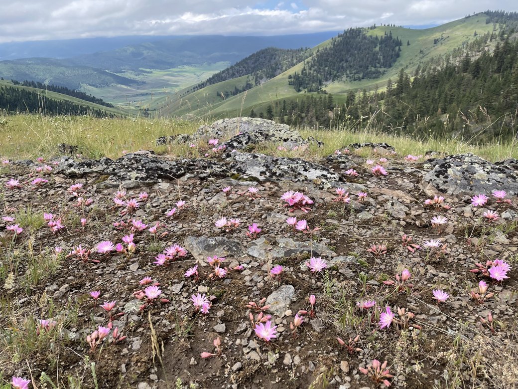 hike image