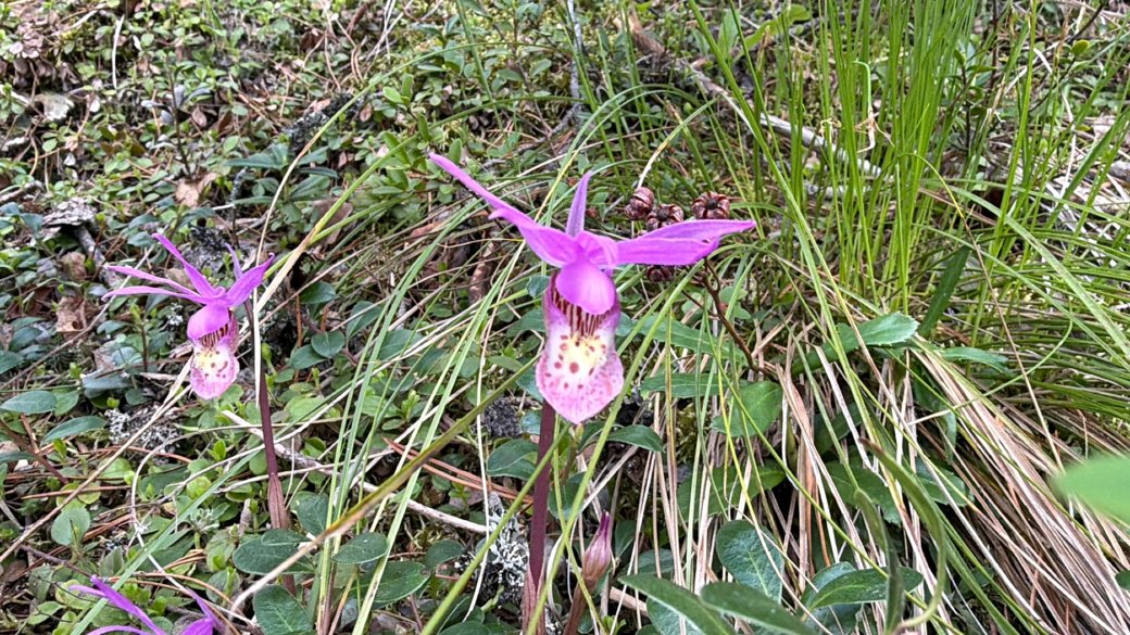 hike image