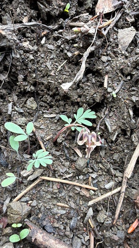 hike image