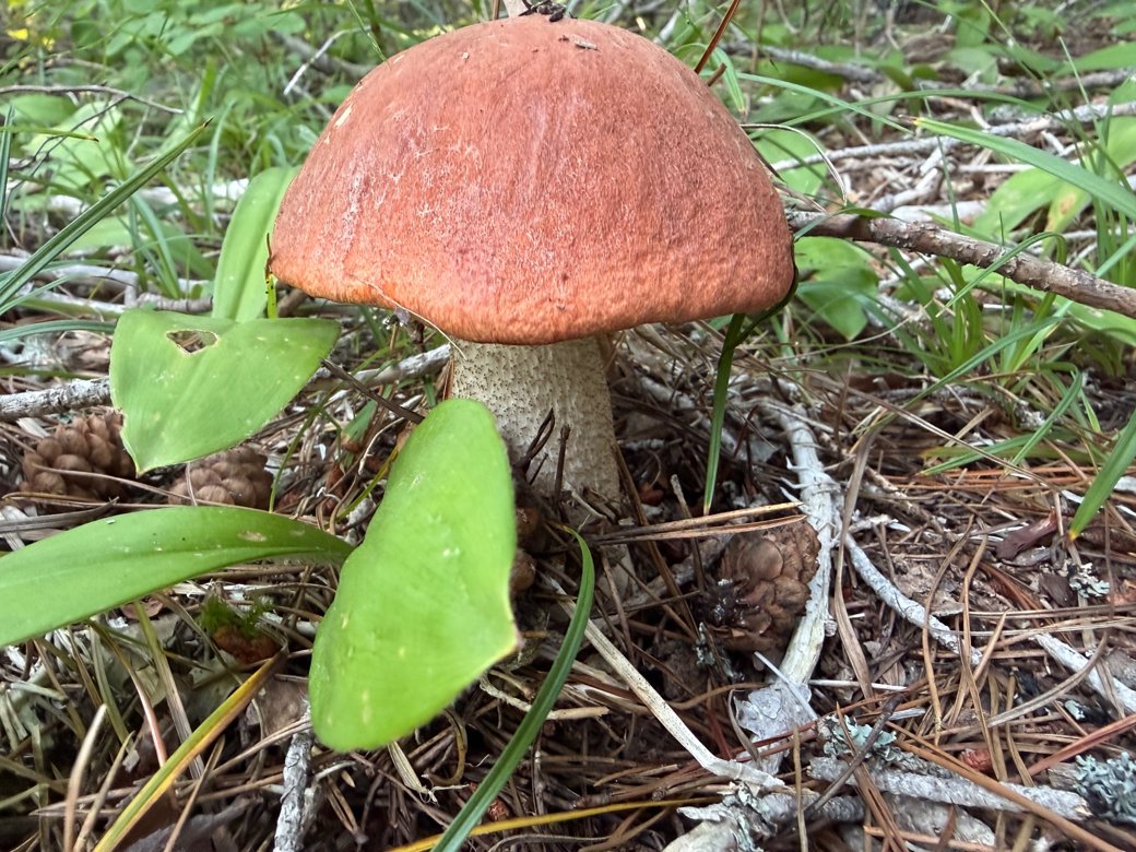 hike image