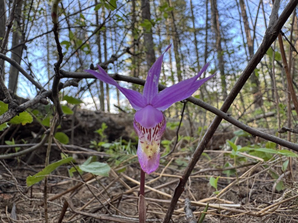 hike image