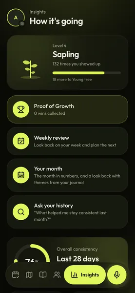 Insights: level, Proof of Growth, weekly review and consistency