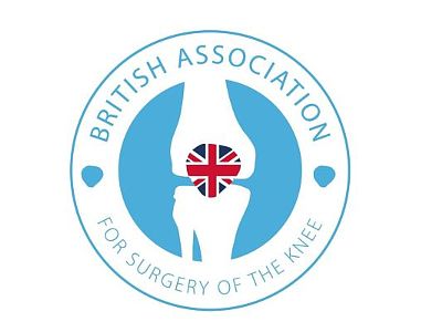 Meniscus organiser logo