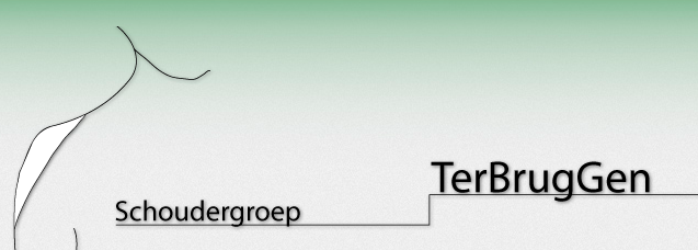 Schoudergroep TerBrugGen