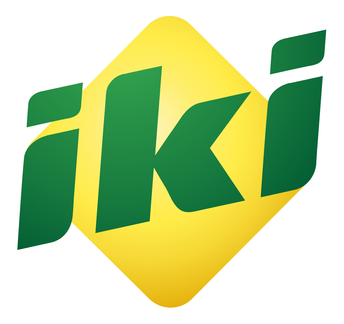 IKI logo