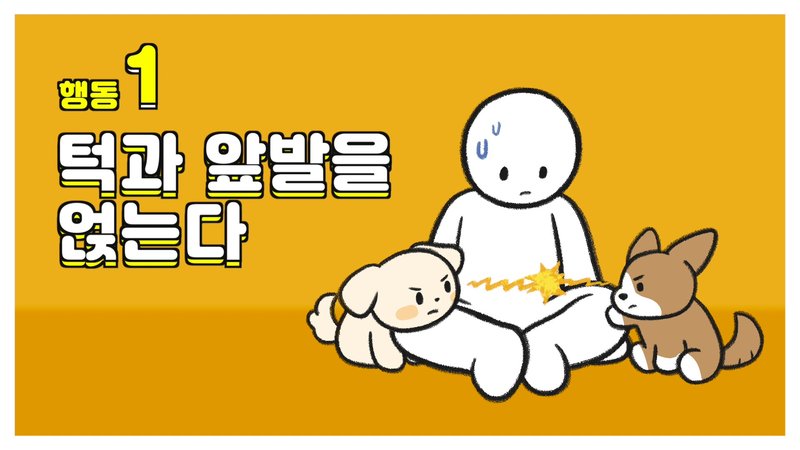 hành động chó con