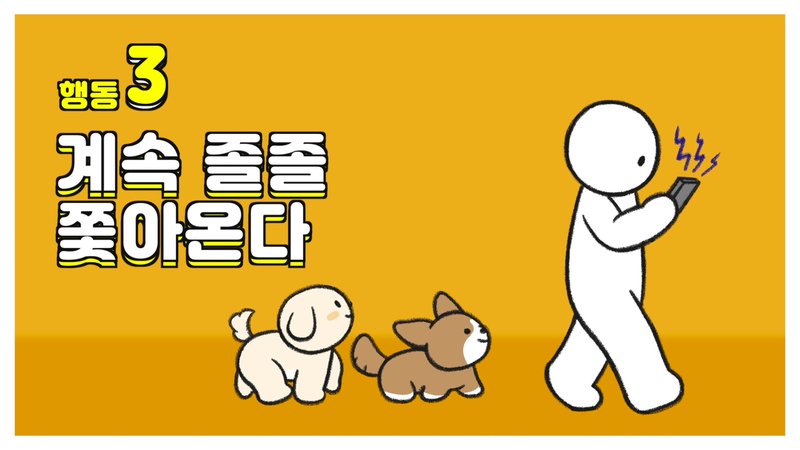 hành động chó con