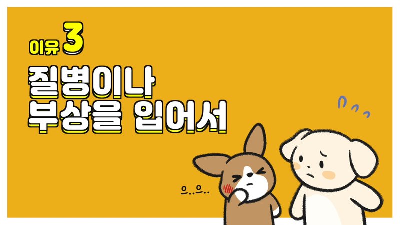 hành động chó con