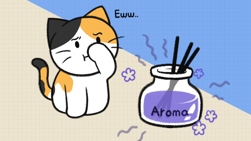 CatOwner_sacrifices_1_4