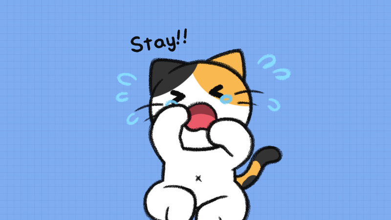 CatOwner_sacrifices_2_1