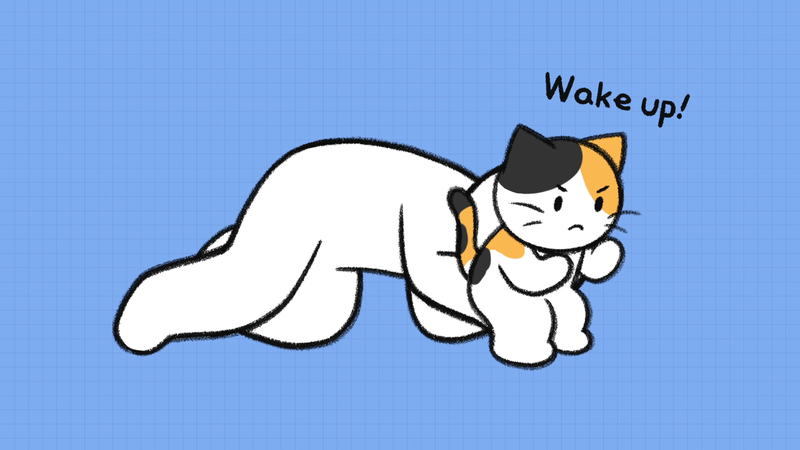 CatOwner_sacrifices_2_4