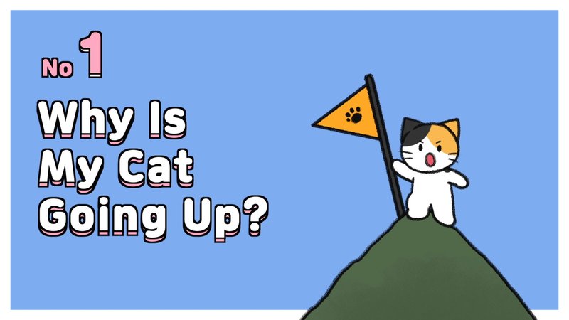 Cat_acting_weird_1_