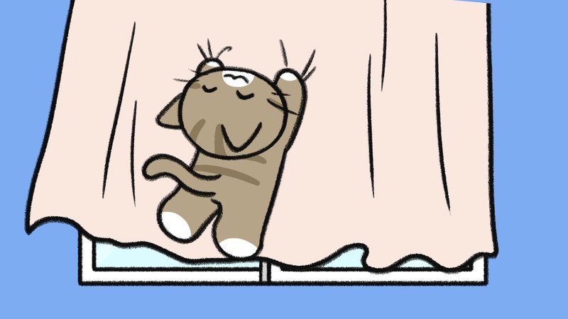 Cat_acting_weird_1_1