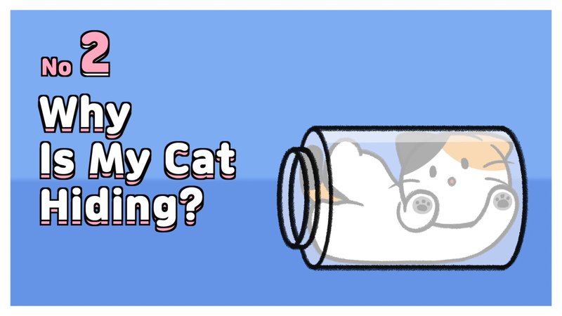 Cat_acting_weird_2_