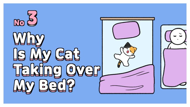 Cat_acting_weird_3_