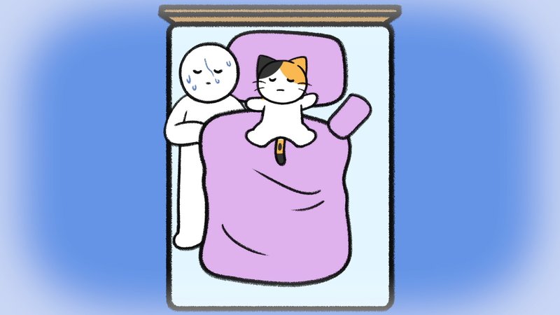 Cat_acting_weird_3_2