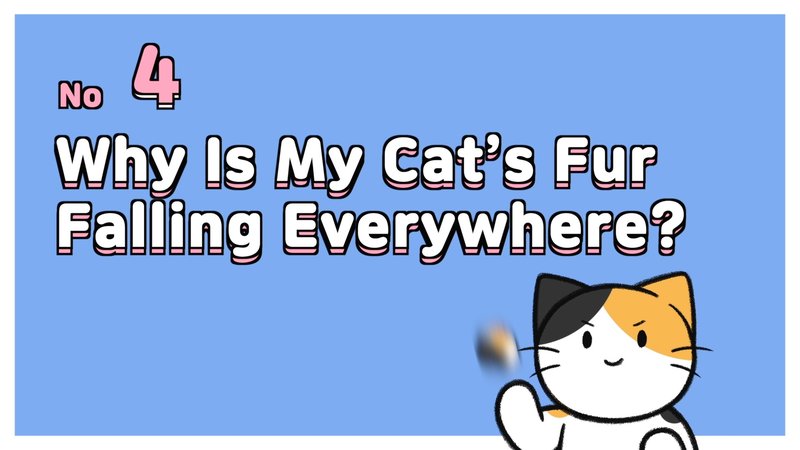 Cat_acting_weird_4_