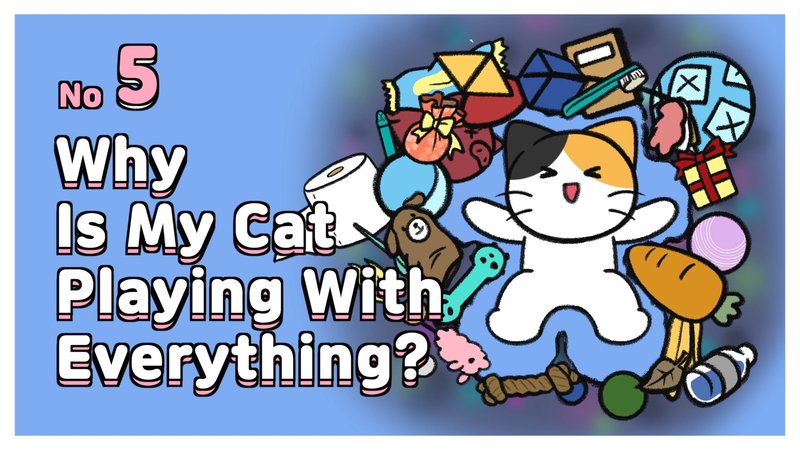 Cat_acting_weird_5_