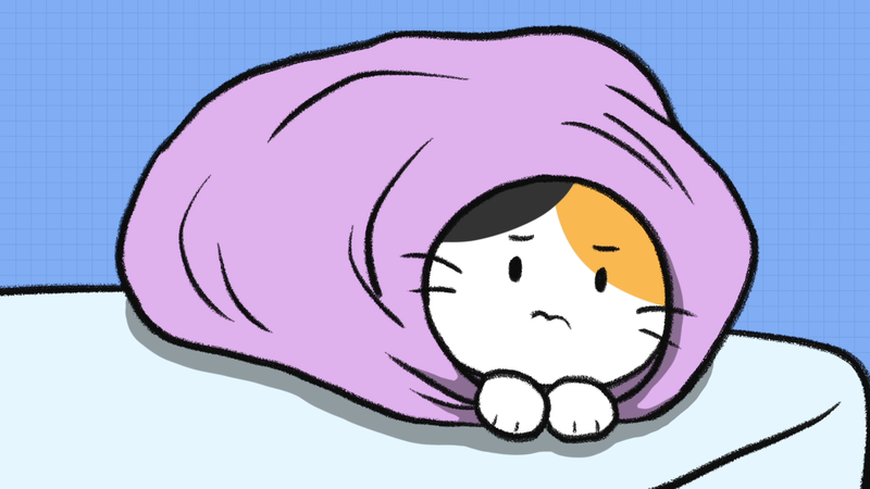 Cat_ages_1_2