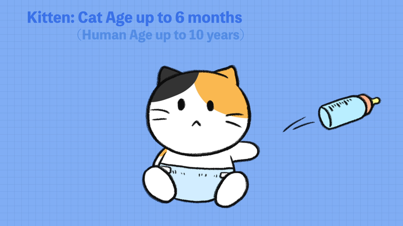 Cat_ages_2_1_1