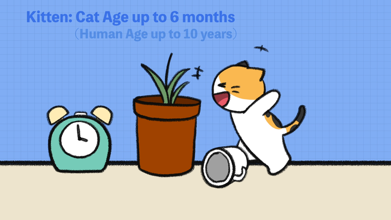 Cat_ages_2_1_2