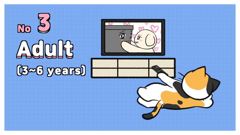 Cat_ages_2_3_