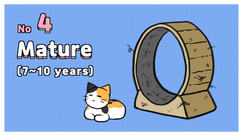 Cat_ages_2_4_