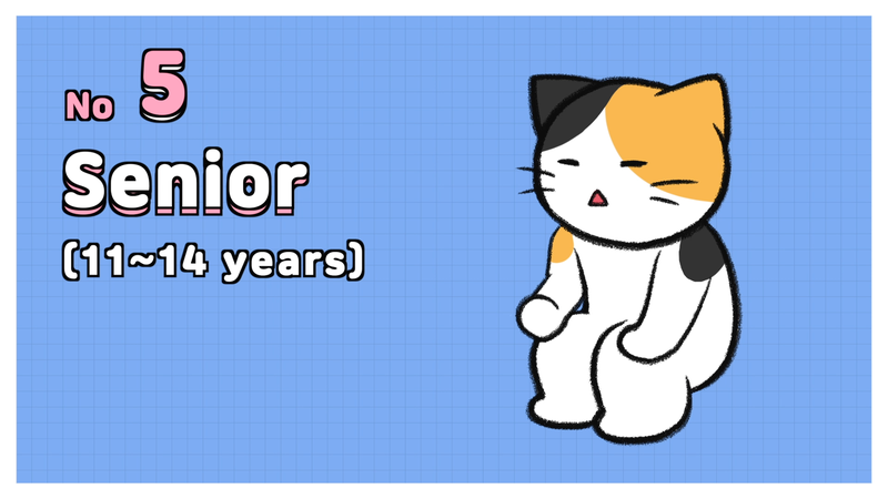 Cat_ages_2_5_