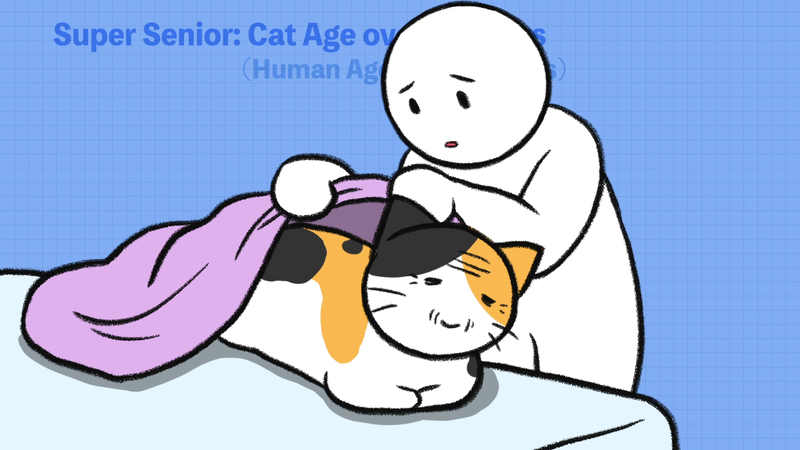 Cat_ages_2_6_1
