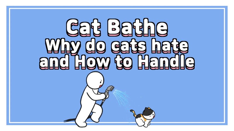 Cat_bathe_0_