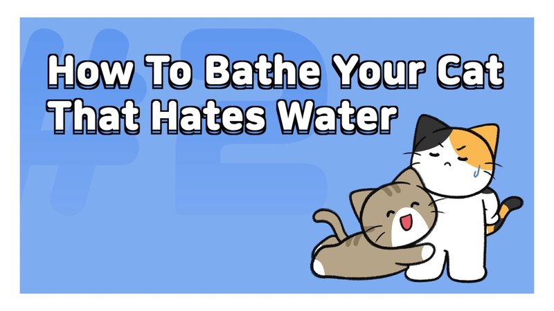 Cat_bathe_2_