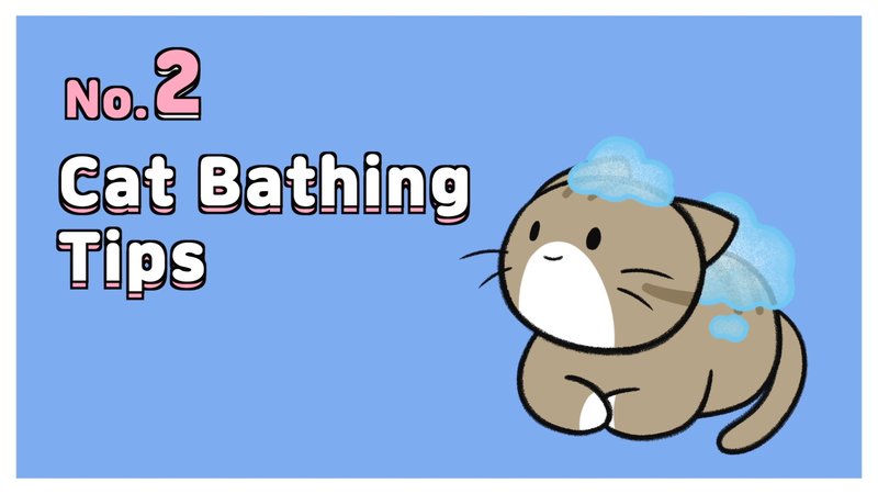 Cat_bathe_2_2_