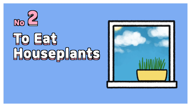 Cat_behaviors_dangerous_2_