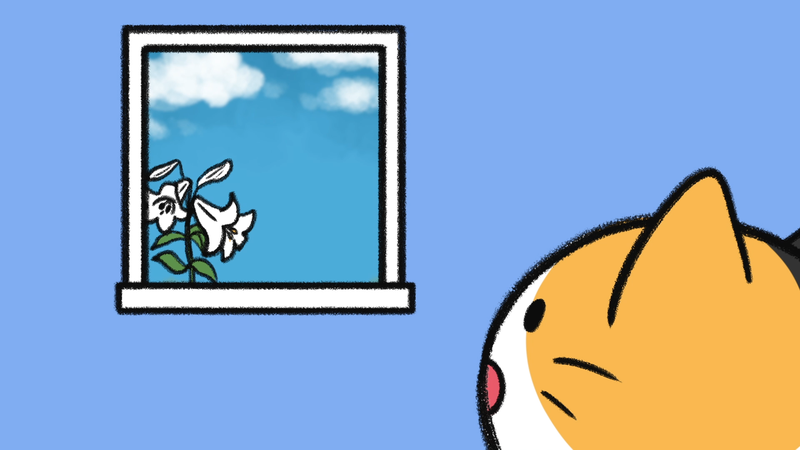 Cat_behaviors_dangerous_2_2