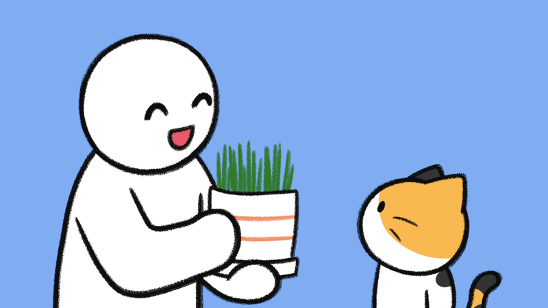 Cat_behaviors_dangerous_2_3